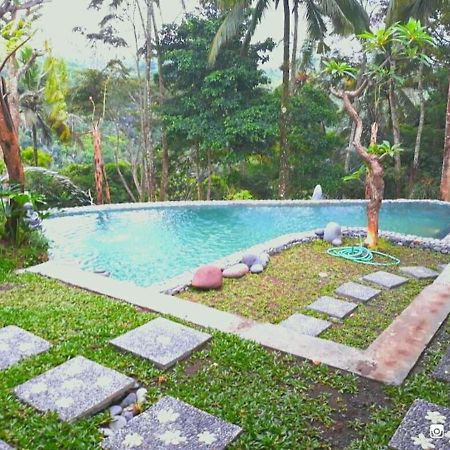 Amara Giri I Villa Ubud Kültér fotó