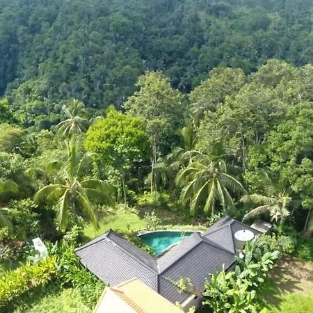 Amara Giri I Villa Ubud Kültér fotó