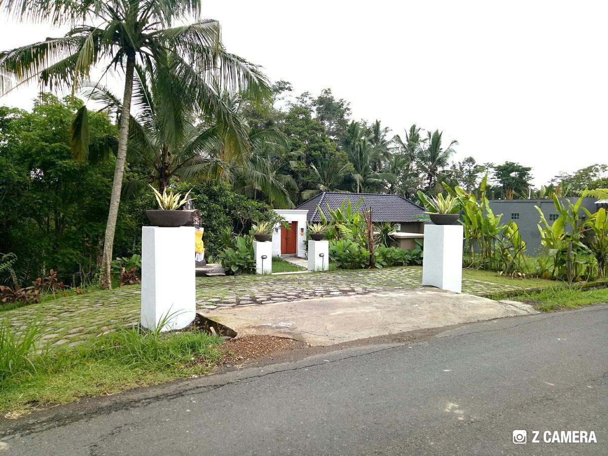 Amara Giri I Villa Ubud Kültér fotó
