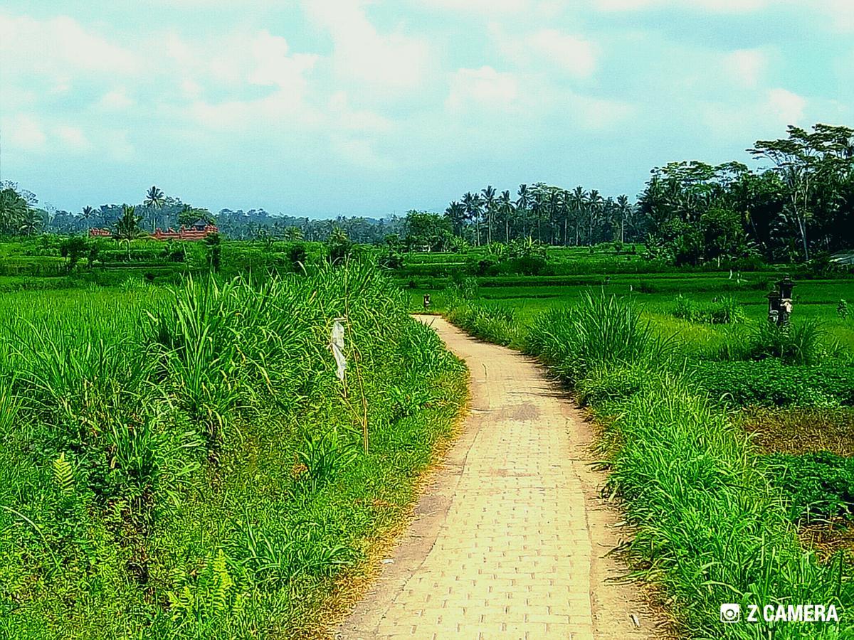 Amara Giri I Villa Ubud Kültér fotó