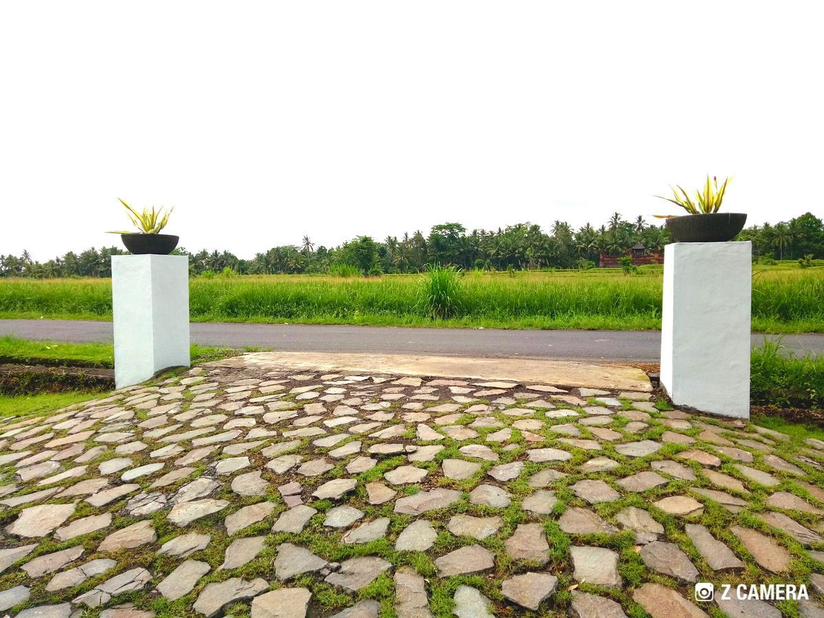 Amara Giri I Villa Ubud Kültér fotó
