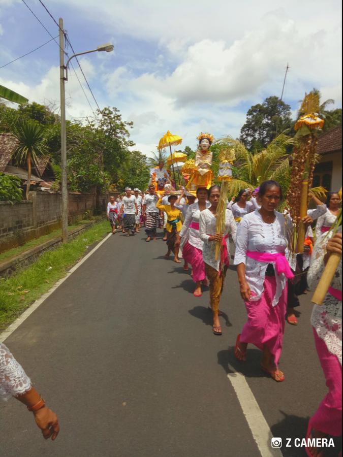 Amara Giri I Villa Ubud Kültér fotó