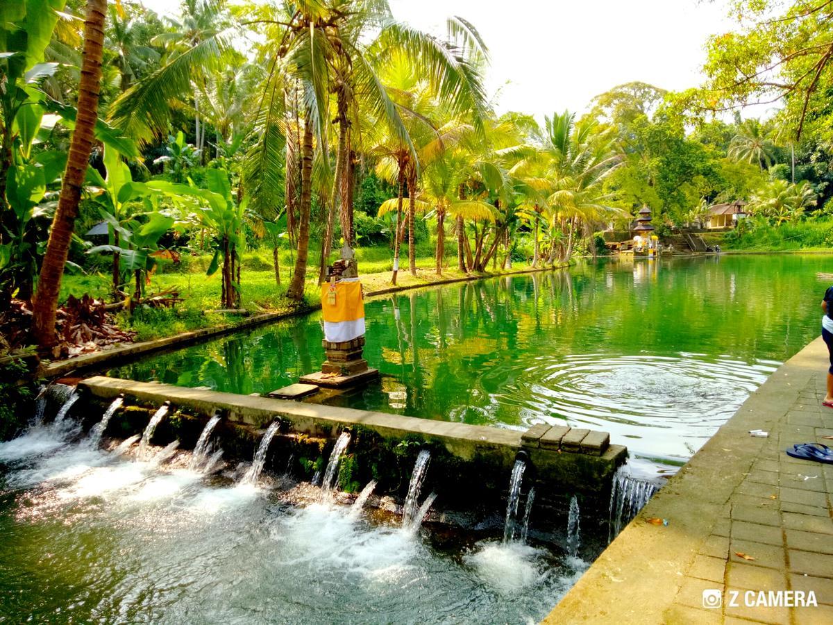 Amara Giri I Villa Ubud Kültér fotó