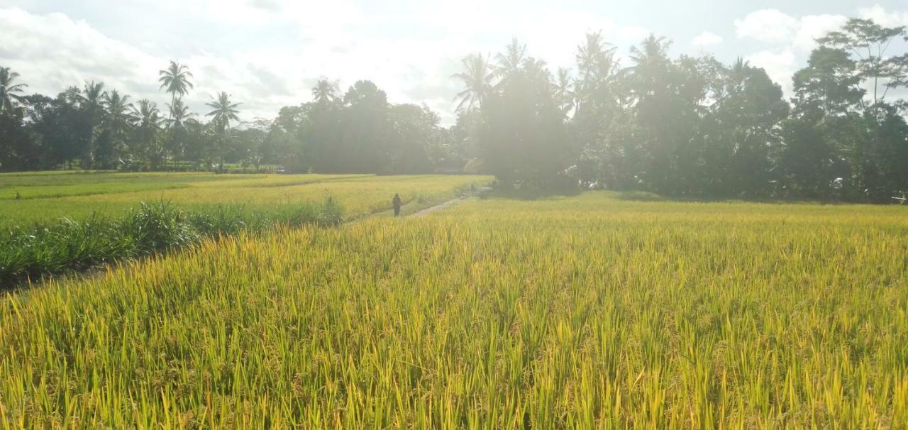 Amara Giri I Villa Ubud Kültér fotó